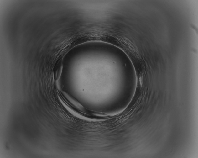 X0000093231347200709261643