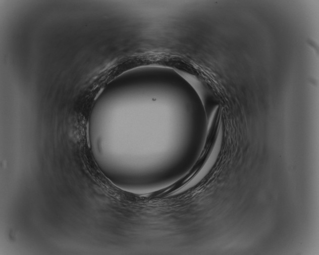 X0000093231349200709261643