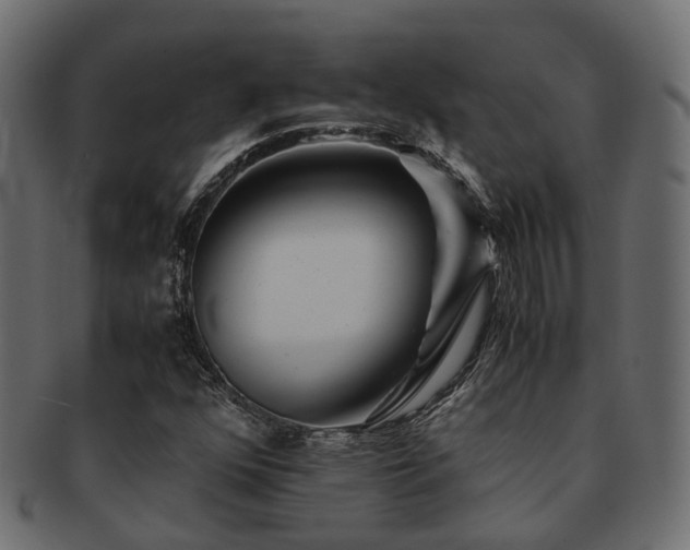 X0000093231352200709261643