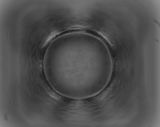 X0000093231355200709261643