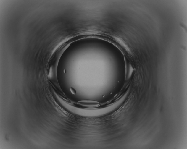 X0000093231356200709261643