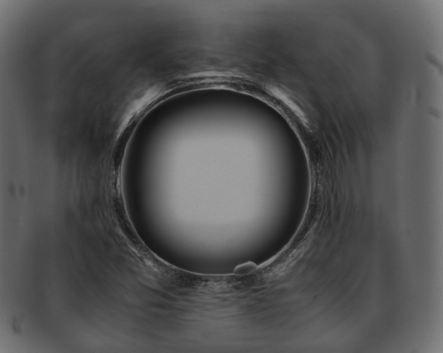 X0000093231357200709261643