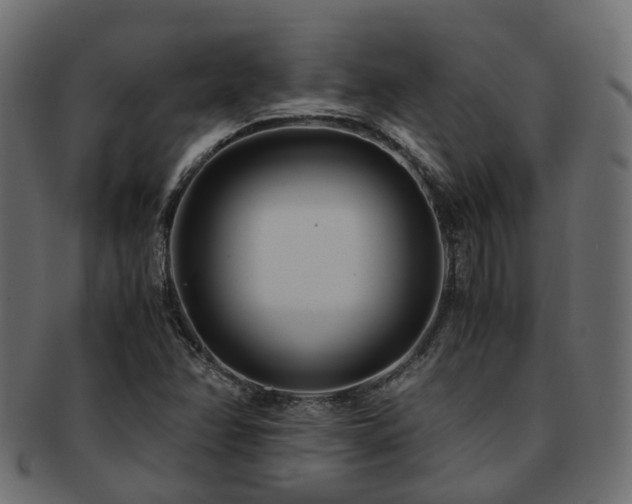 X0000093231358200709261643