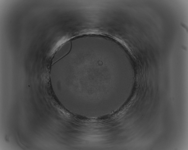 X0000093231359200709261643