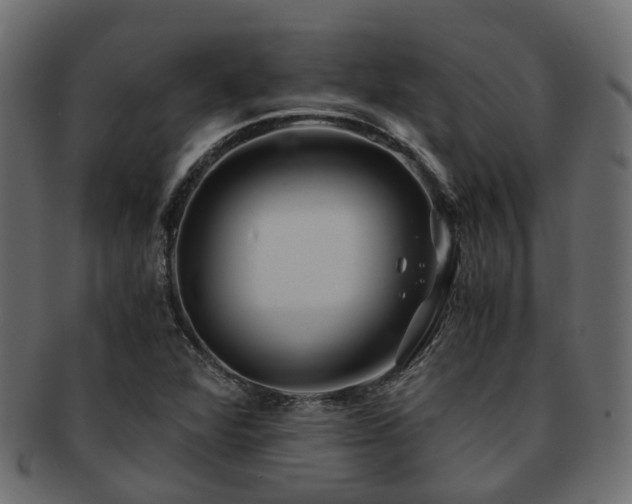 X0000093231360200709261643