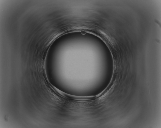 X0000093231361200709261643