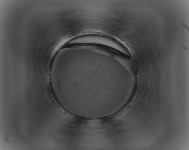 X0000093231363200709261643
