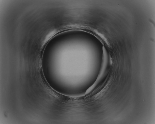 X0000093231365200709261643