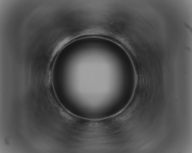 X0000093231366200709261643
