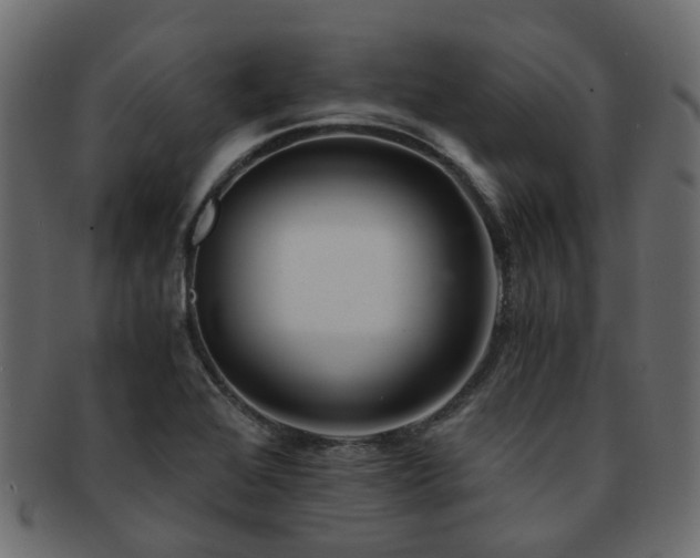 X0000093231368200709261643