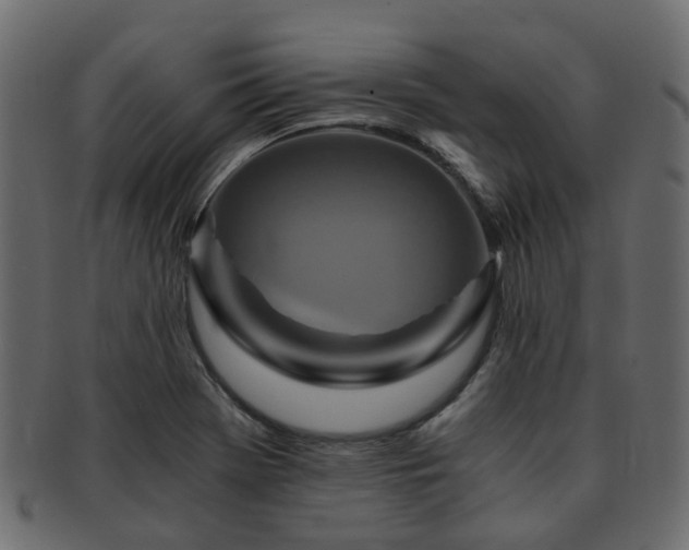 X0000093231369200709261643