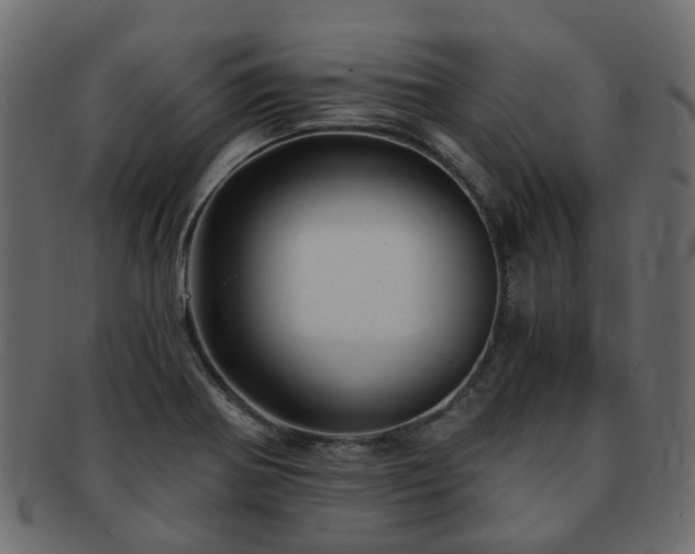 X0000093231370200709261643