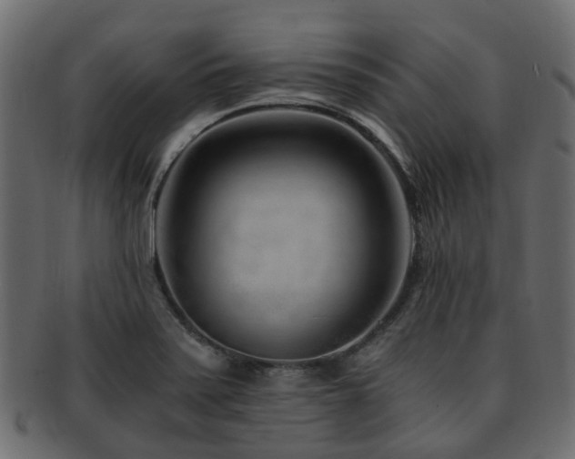X0000093231371200709261643