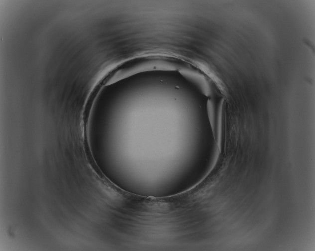 X0000093231372200709261643