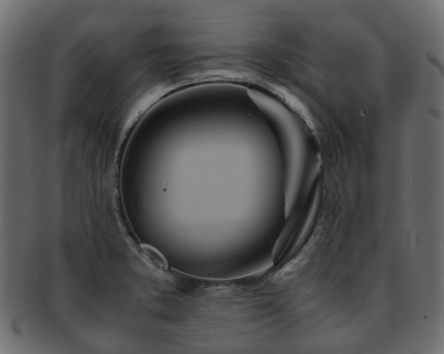 X0000093231373200709261643