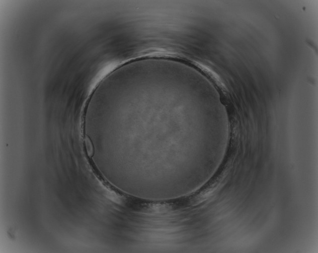 X0000093231375200709261643