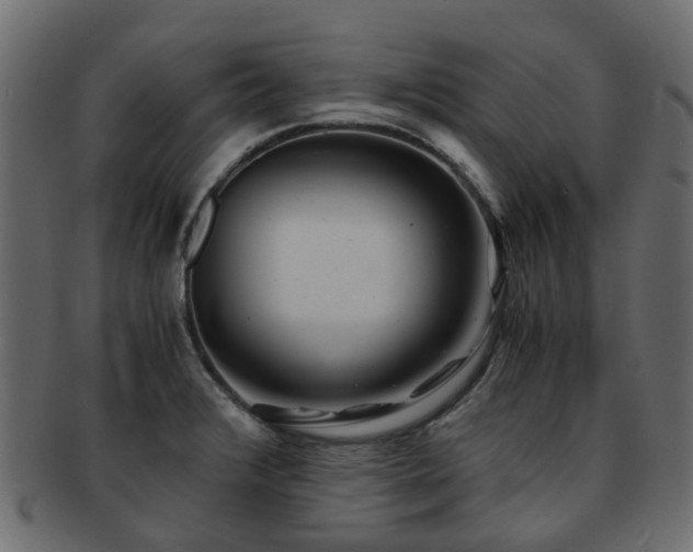 X0000093231376200709261643