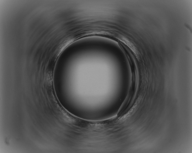 X0000093231377200709261643