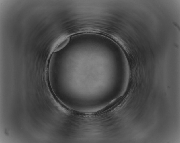 X0000093231379200709261643