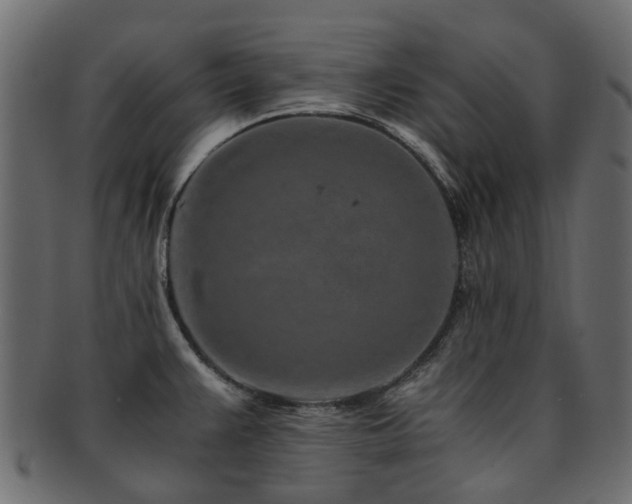 X0000093231383200709261643