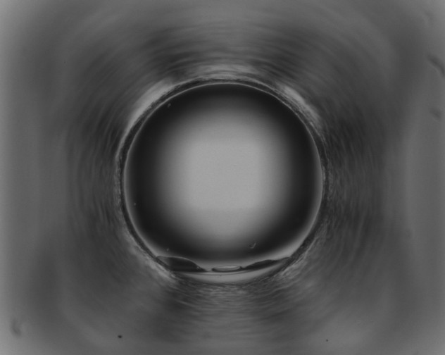 X0000093231384200709261643