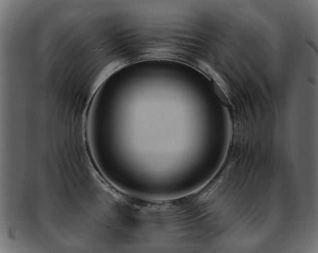 X0000093231386200709261643