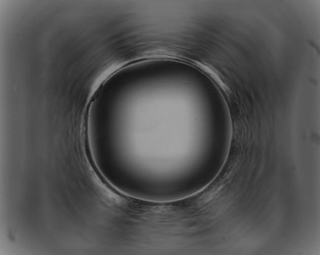 X0000093231387200709261643