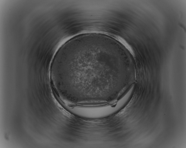 X0000093231388200709261643