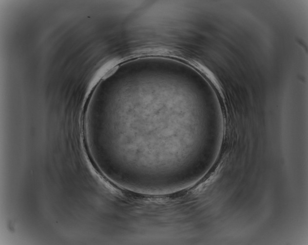 X0000093231389200709261643