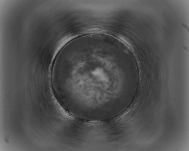 X0000093231392200709261643