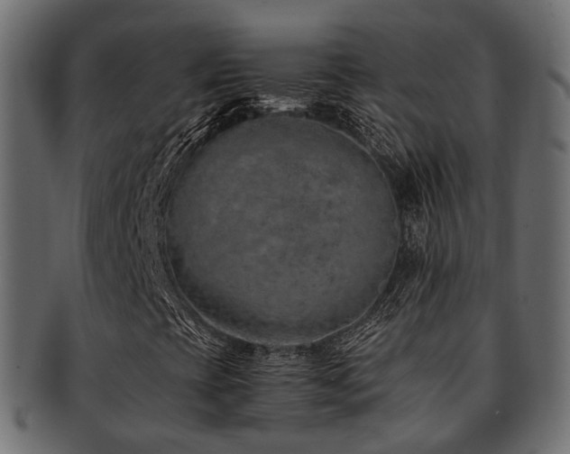 X0000093231393200709261642