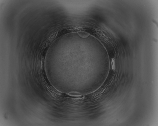 X0000093231395200709261642