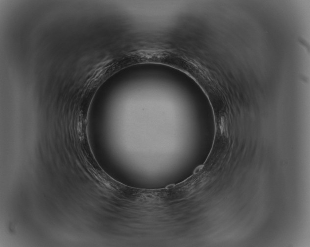 X0000093231396200709261642