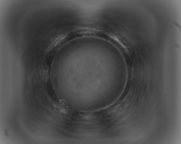 X0000093231399200709261642