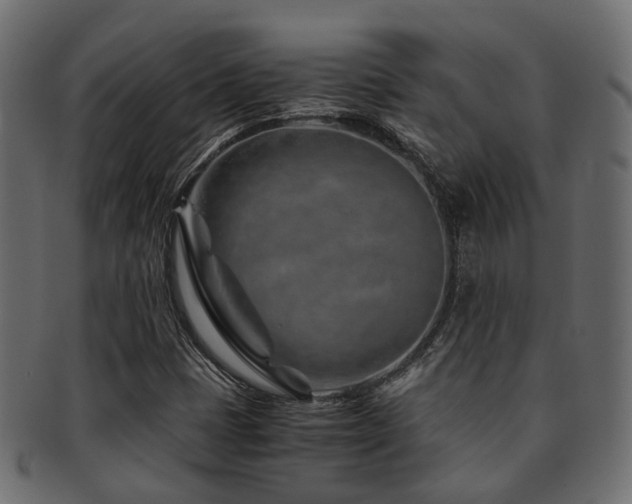 X0000093231401200709261642