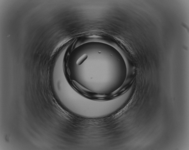 X0000093231402200709261642