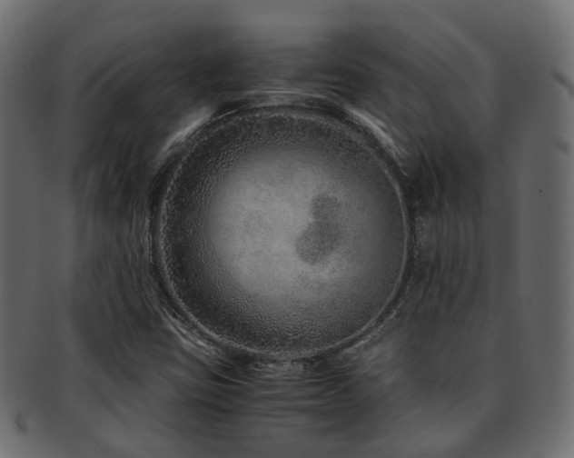 X0000093231403200709261642