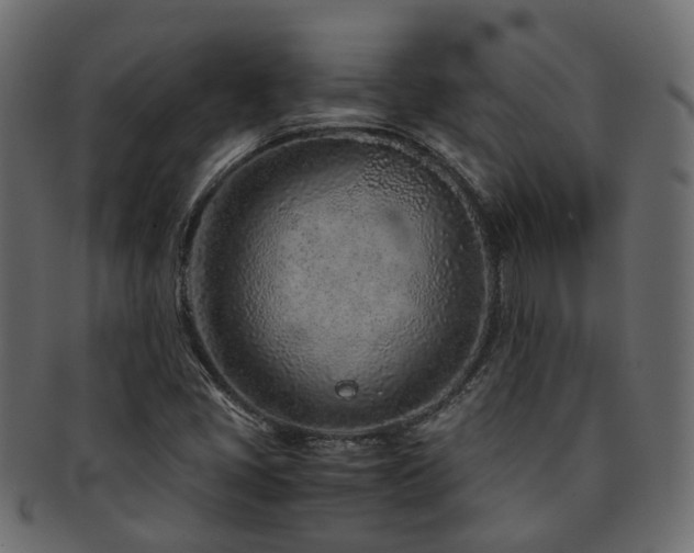 X0000093231405200709261642