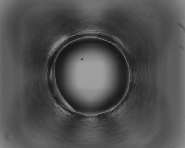 X0000093231406200709261642