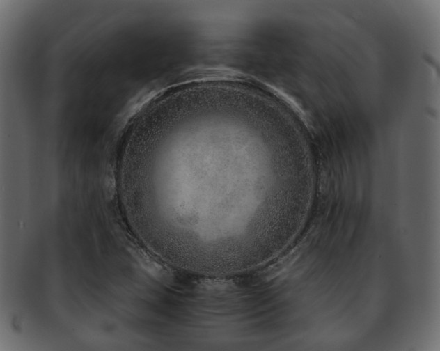 X0000093231407200709261642