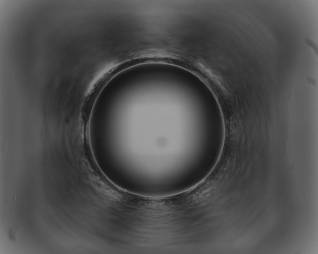 X0000093231408200709261642