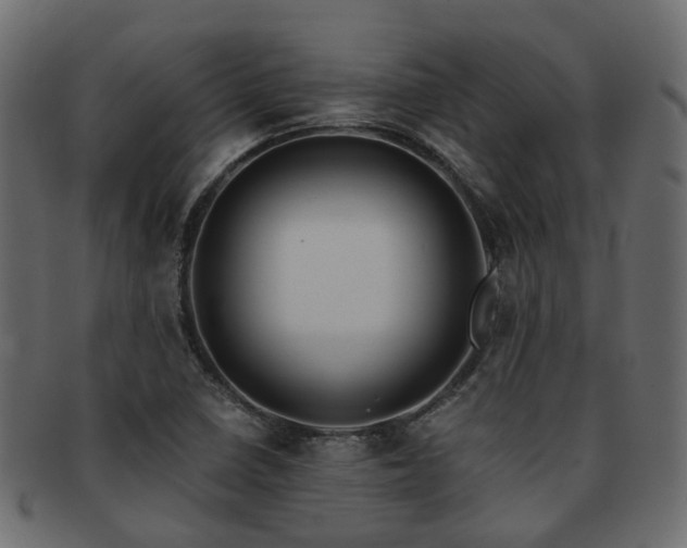 X0000093231410200709261642