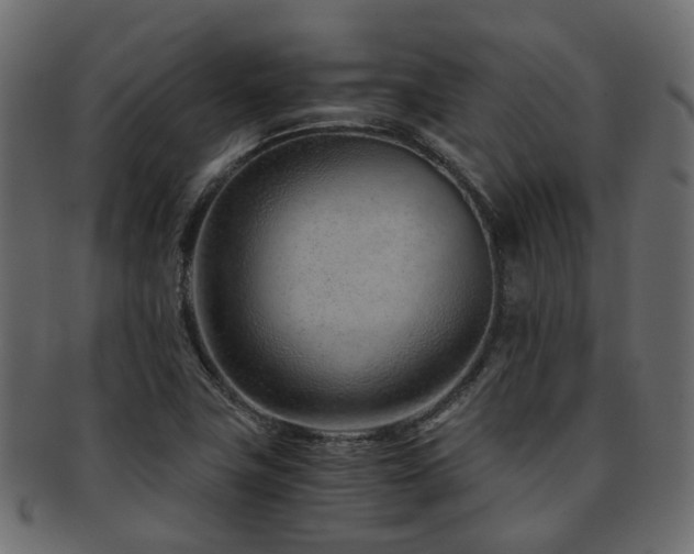 X0000093231411200709261642
