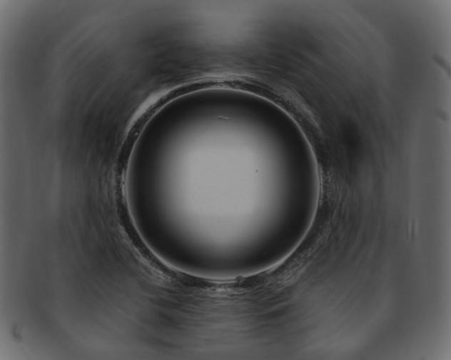 X0000093231412200709261642