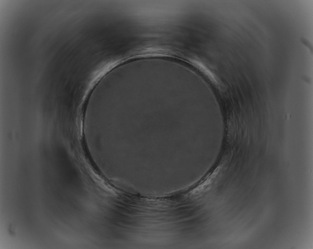 X0000093231413200709261642