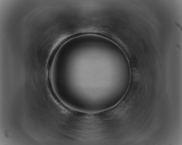 X0000093231416200709261642