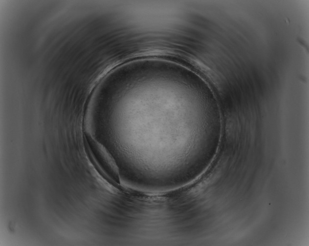 X0000093231417200709261642