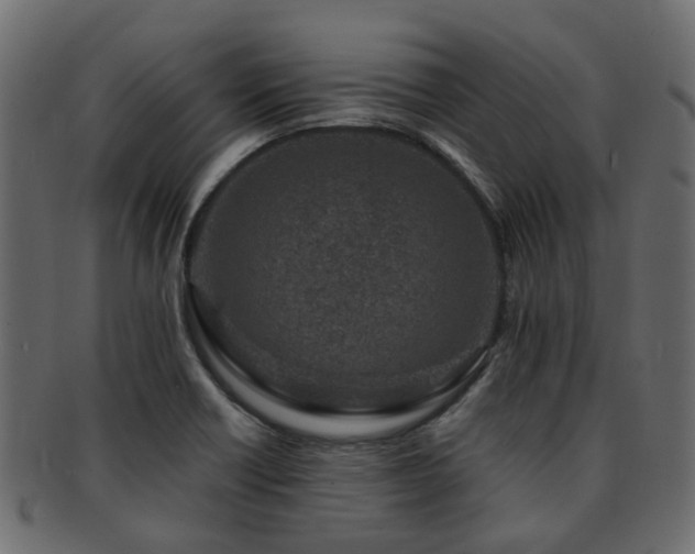 X0000093231418200709261642