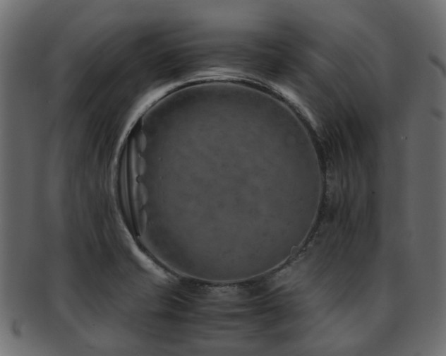X0000093231421200709261642