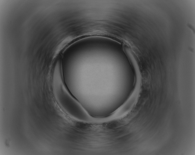 X0000093231422200709261642